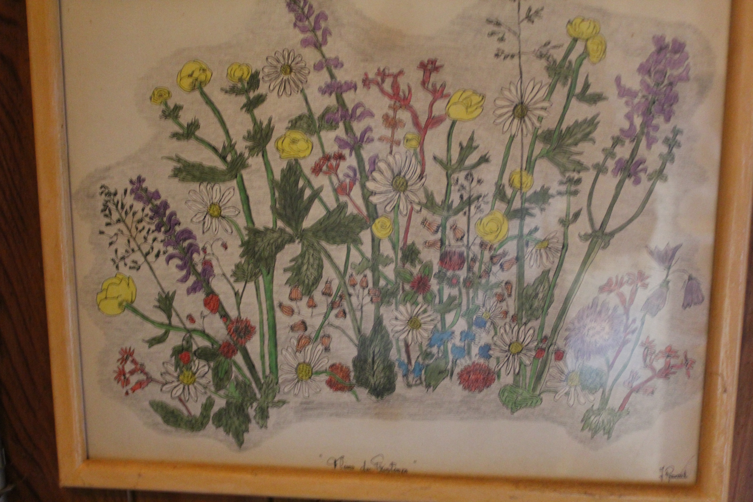 Œuvre encre de Chine série Nature 50x70cm