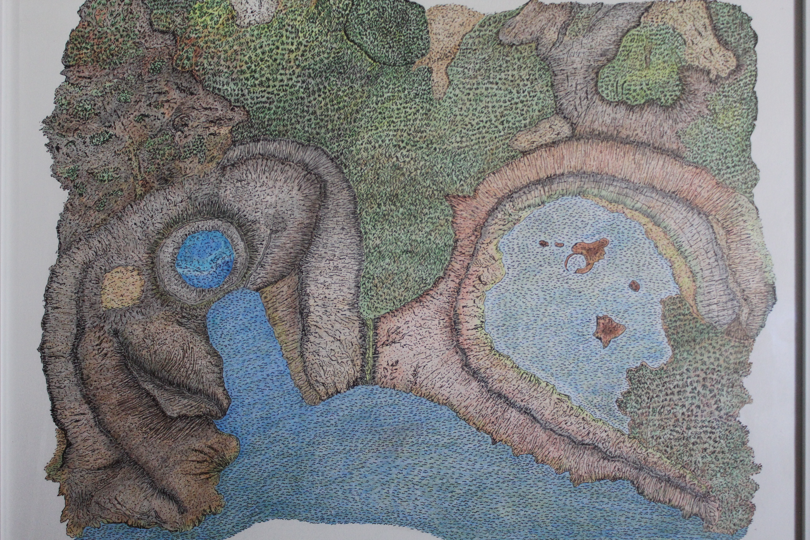 Œuvre encre de Chine série Nature 50x70cm